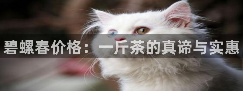 摩登7口碑