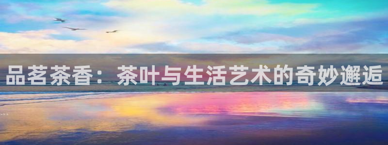 摩登7服333OO
