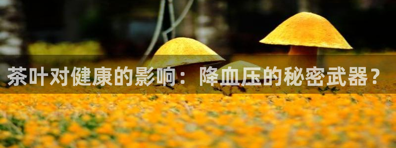 摩登7平台注册登录