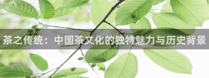 lgg7摩登