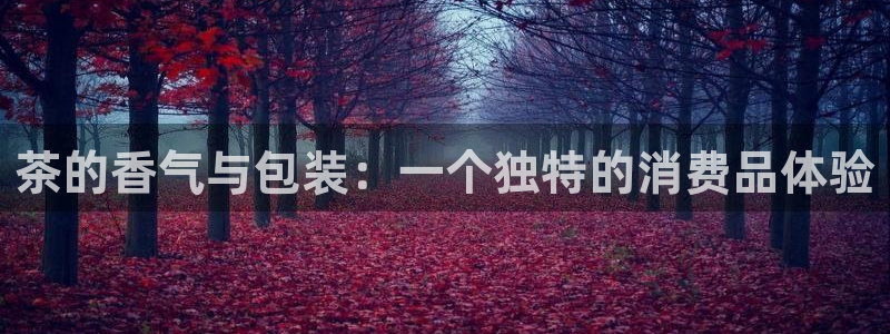 摩登7是什么