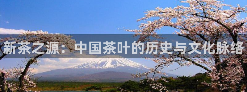 摩登7