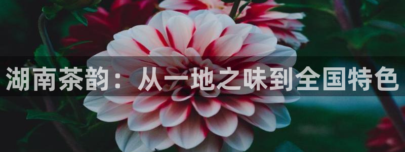 摩登6吴这7O667