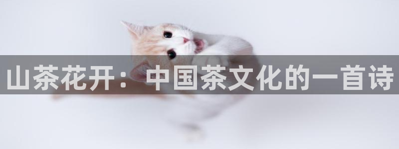 摩登7注册让333OO