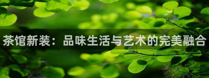摩登7官网在哪下载