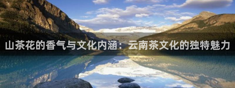 摩登7链接