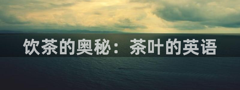摩登7主管亲333OO