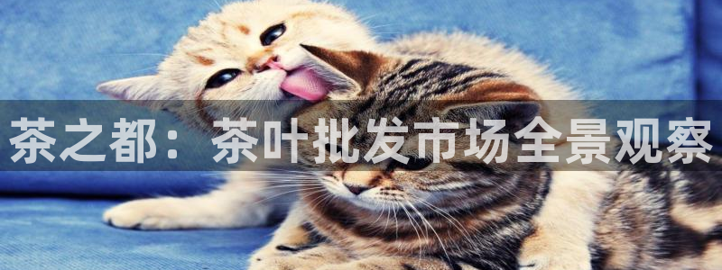 摩登3天7O667