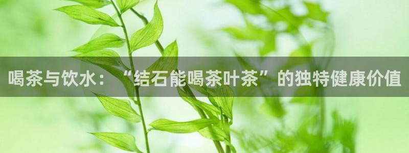 摩登4下7O667