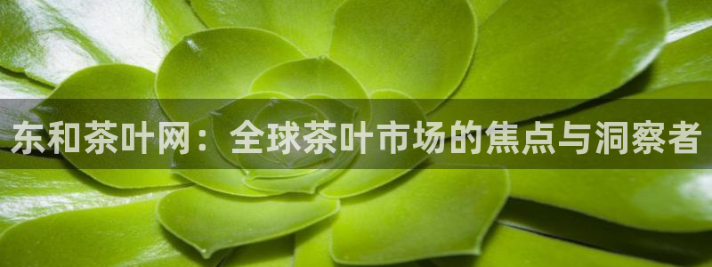 摩登7平台首页