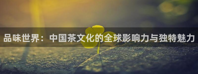 摩登6冯这7O667