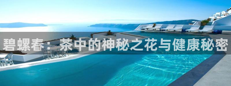 摩登口碑7