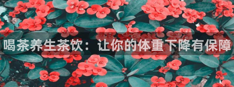 摩登7夜判官333OO