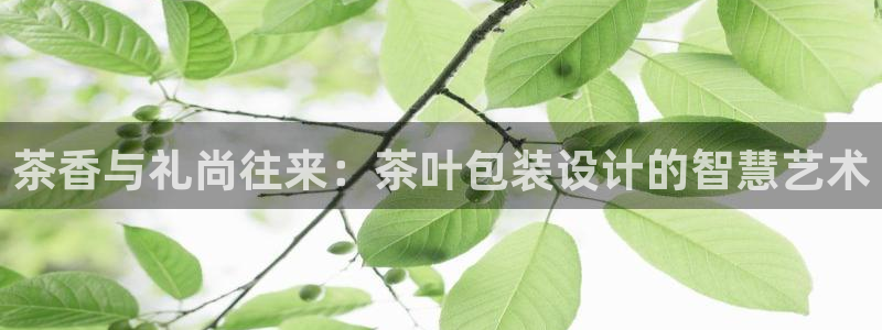 摩登6天7O667