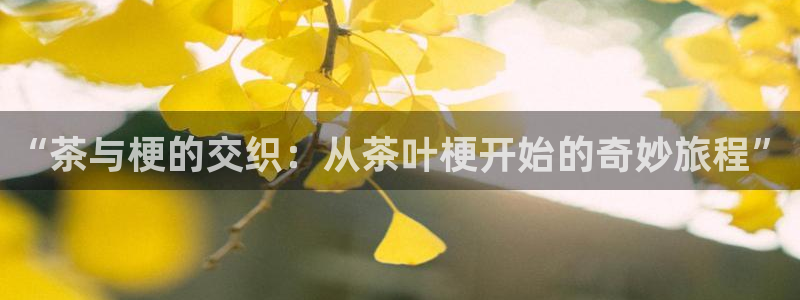 摩登平台局7O777