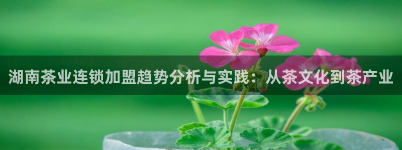 猎杰集团摩登7