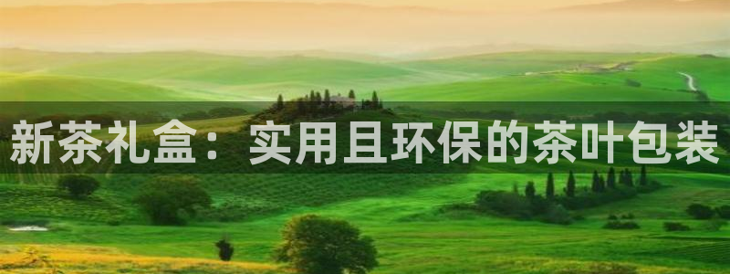 摩登7上级