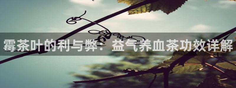 摩登7风3299O7