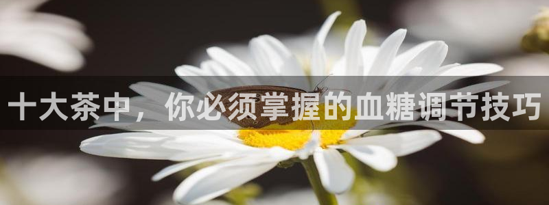 摩登7日7O667