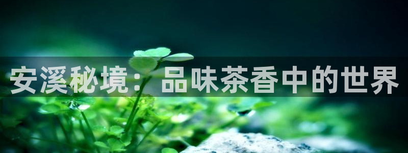 摩登精品7