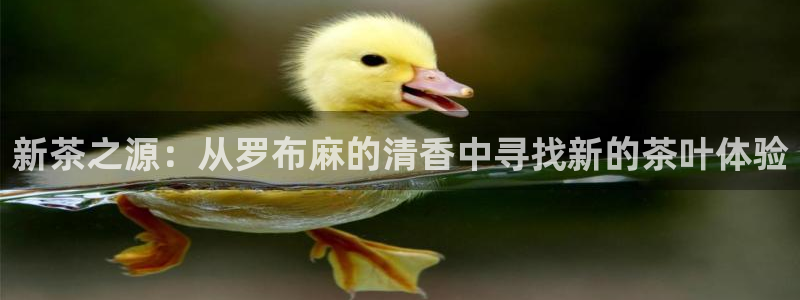 摩登7黑钱