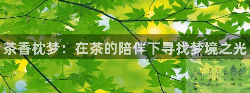 摩登6天7O667