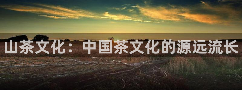 摩登7安全吗