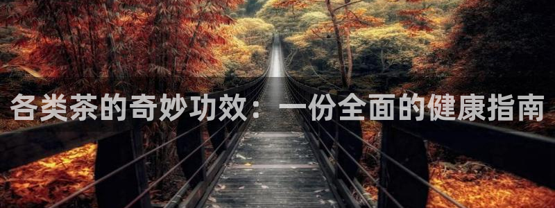 摩登平台局7O777
