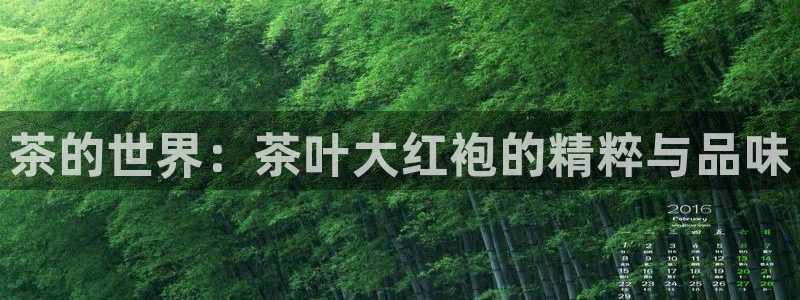 摩登5左7O667