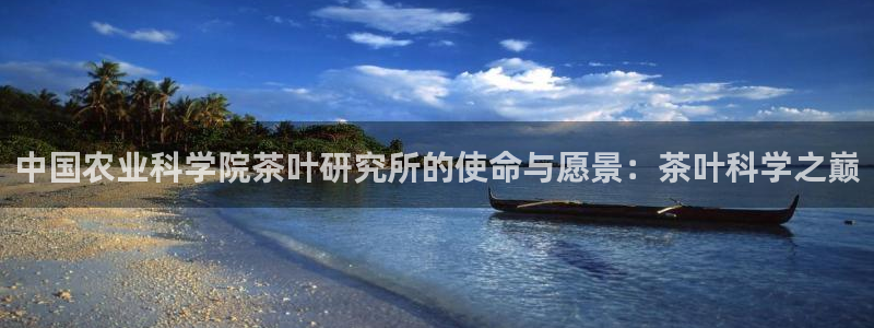 摩登7招商议333OO