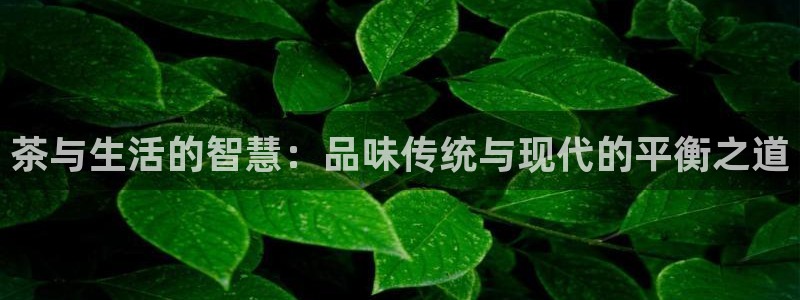 摩登7平台下载