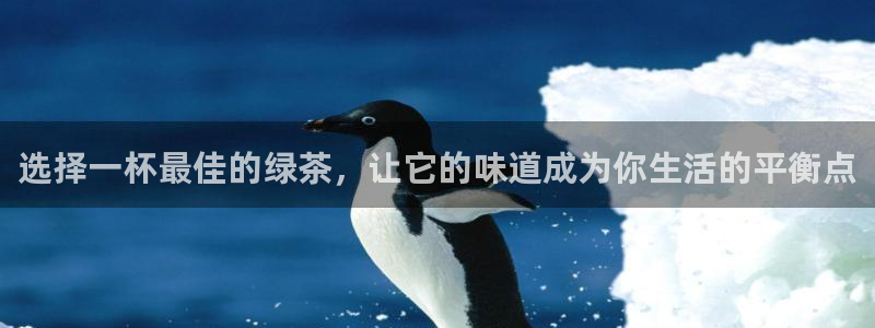 摩登7平台主管