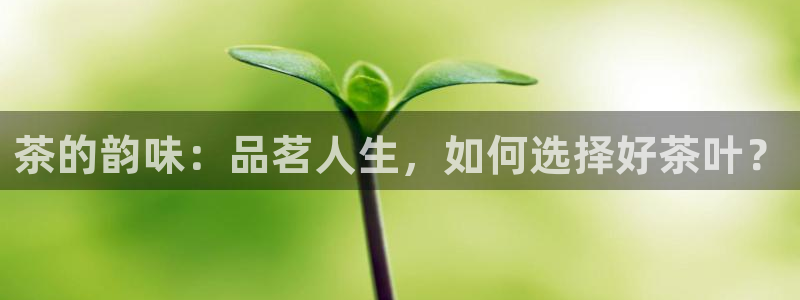 摩登 7