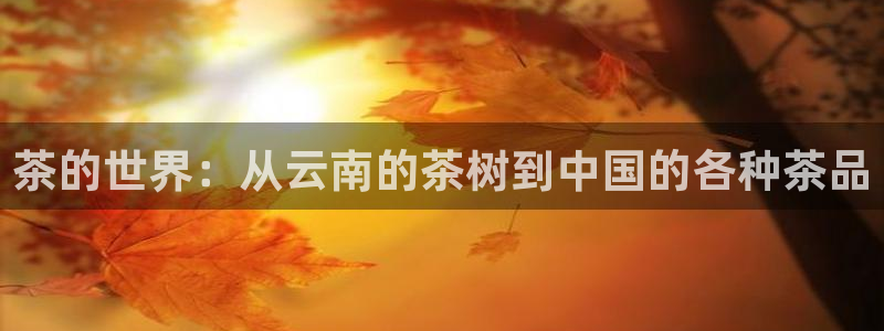 摩登7app网址下载