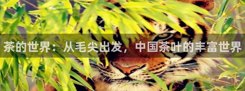 摩登7会员登录入口