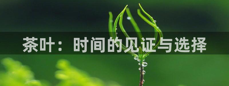 摩登7平台登录