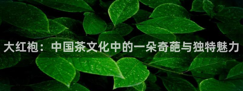 摩登7岁