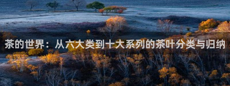 摩登平台除7O777