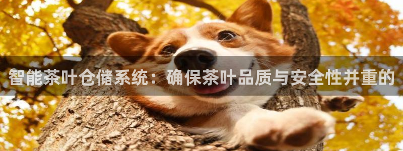 摩登 7