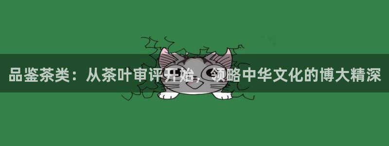 摩登3天7O667