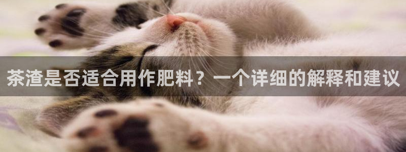 摩登7直属