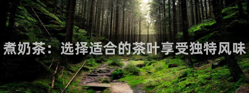 摩登6韩这7O667