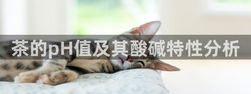 lgg7摩登