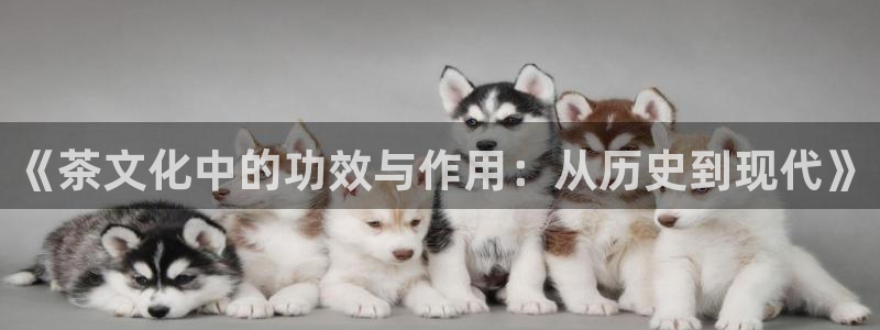 摩登3后7O667