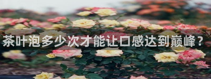 摩登6张7O667