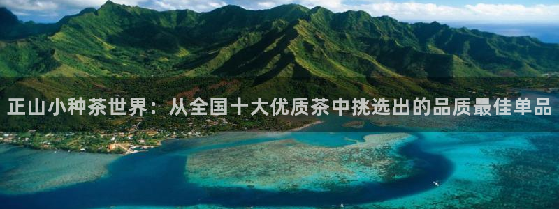 摩登7代理