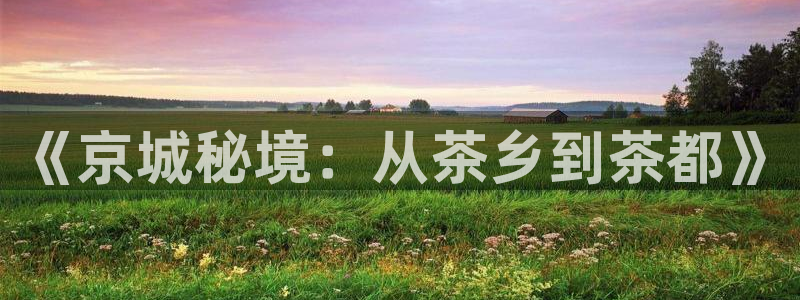摩登7官网的详细介绍