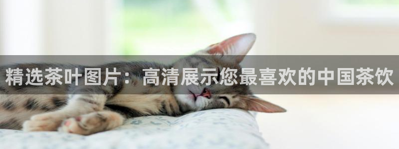 摩登7主管qq