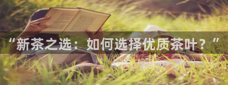 摩登7娱乐找qv382223
