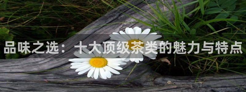 摩登6地7O667